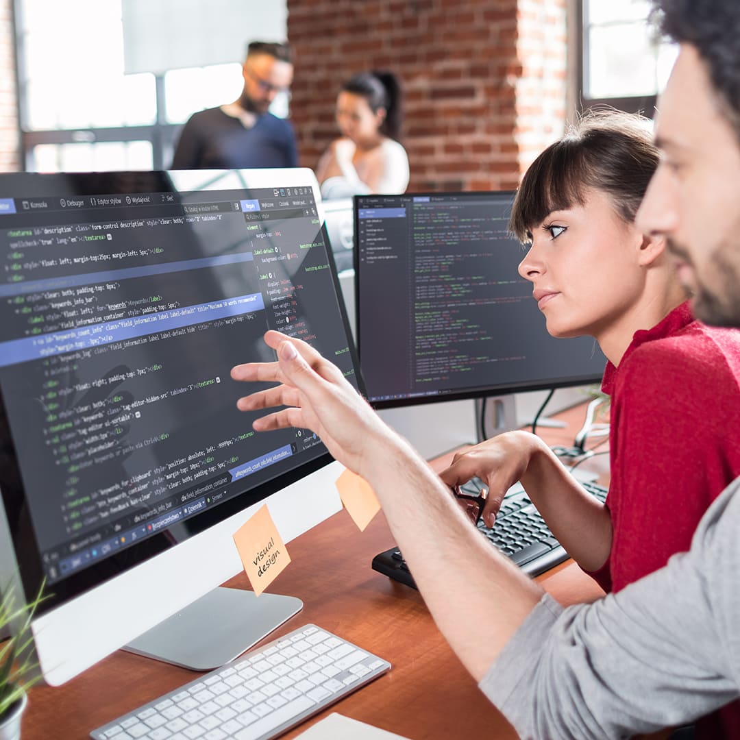Web programozás profi szakember által