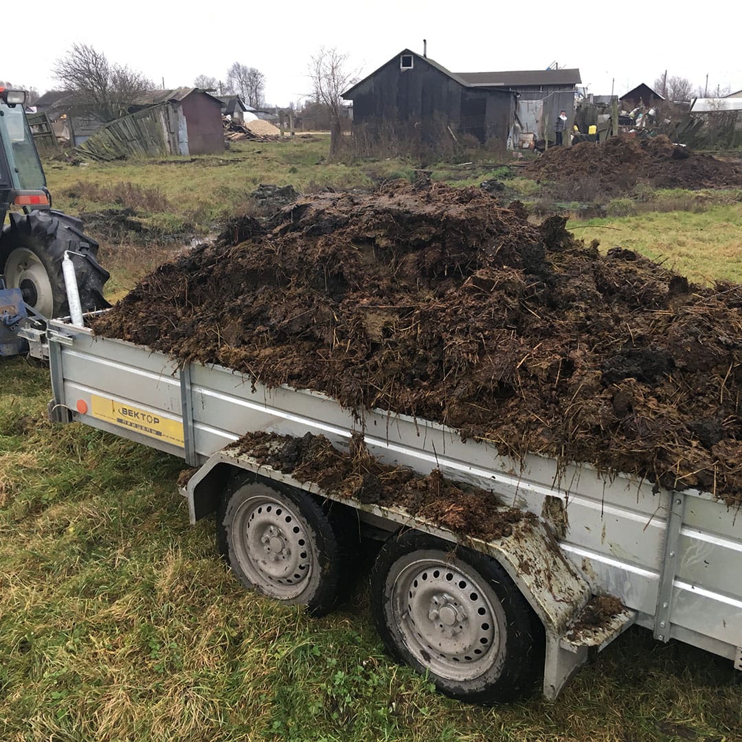 Egy szállító állati eredetű hulladék szállítása közben Füzesgyarmaton