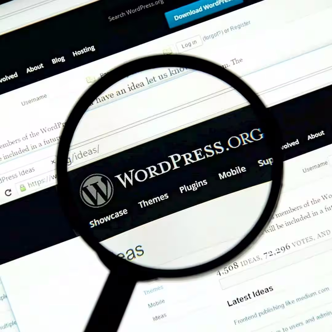 Wordpress weboldal karbantartás profi szakember által